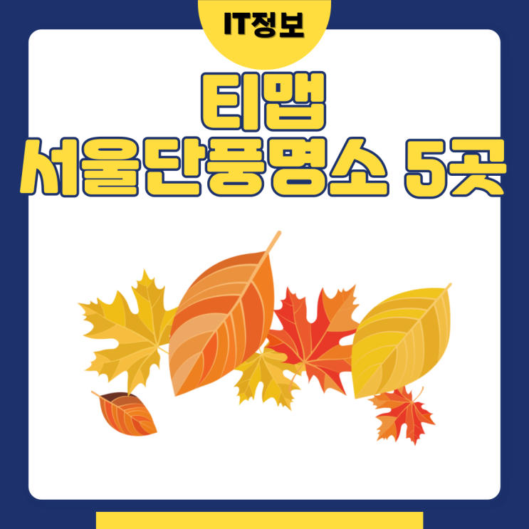  티맵 서울 단풍명소 5곳 알아보자