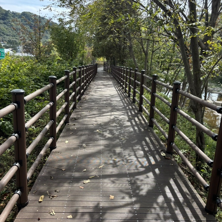몽카페 사진 4