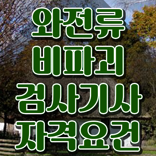  와전류비파괴검사기사 와전류비파괴검사기사 시험응시조건 집에서 온라인으로 간단하게 준비한 후기