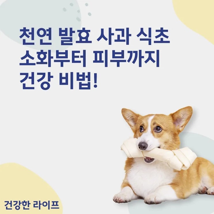  천연 발효 사과 식초, 소화부터 피부까지 건강 비법!