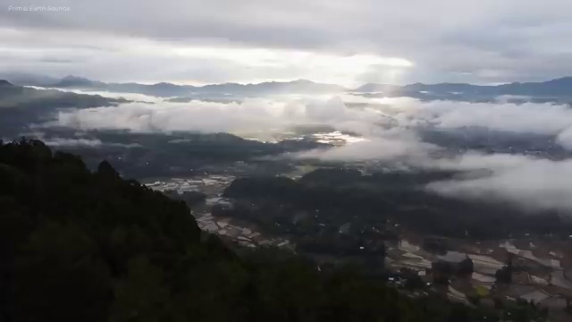  신점타로 , 타로상담전문가 직장인도 쉽게 타로상담전문가자격증 준비 과정