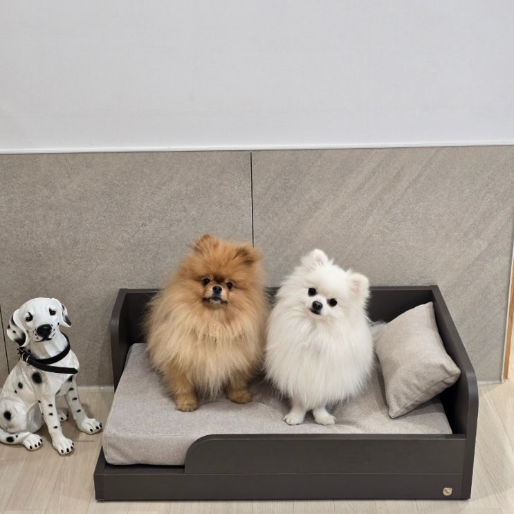  반려견 친화적 주거 단지 반려견 전용 시설 가득한 더빌리지47