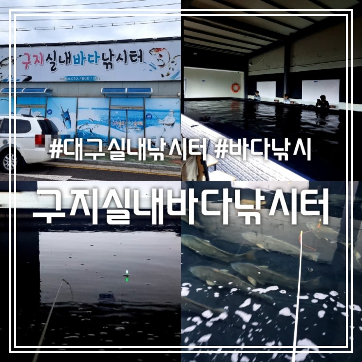 구지실내바다낚시터 || 대구 실내낚시터 바다낚시 이색데이트 코스 구지실내바다낚시터 || 대구 실내낚시터 바다낚시 이색데이트 코스