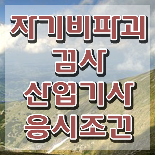  자기비파괴검사산업기사 자격요건 독학으로 쉽고 빠르게 끝낸 방법