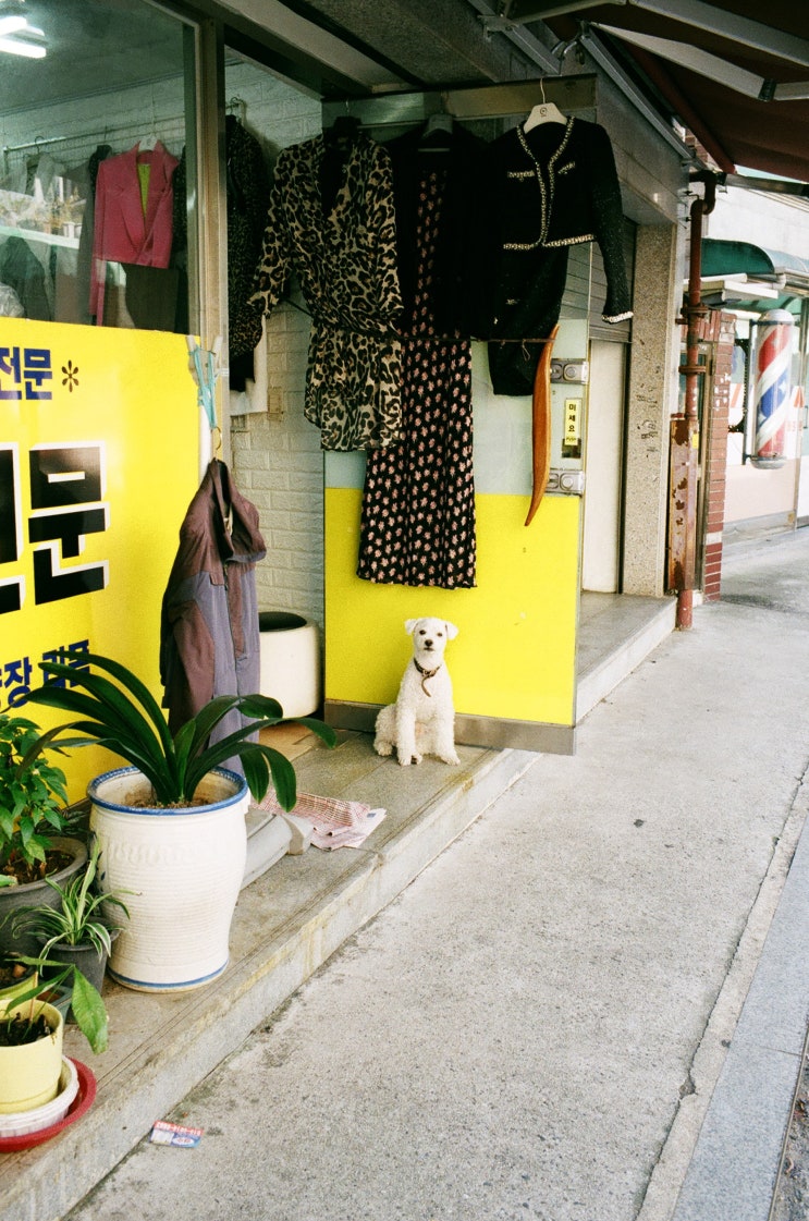  성북동 정릉 탐방기