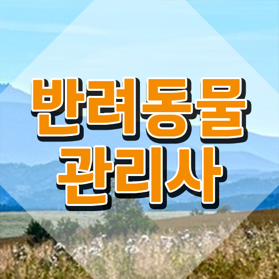  반려동물관리사 학원 , 반려동물관리사 자격증 합격한 팁 정리해봤어요