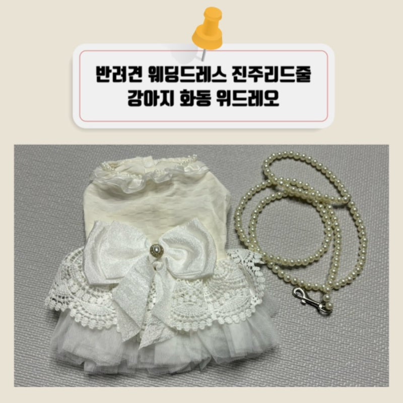 반려견 웨딩드레스 진주리드줄 강아지 화동 진행시 위드레오 꼭 구매하기