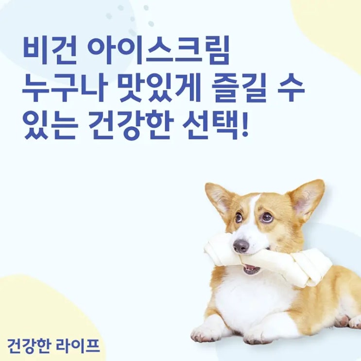  비건 아이스크림, 누구나 맛있게 즐길 수 있는 건강한 선택!