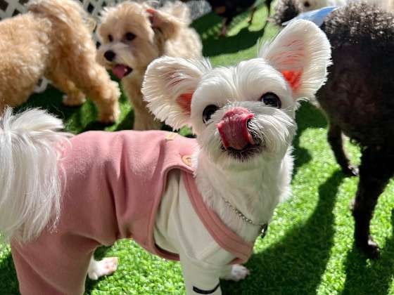 사진 5
