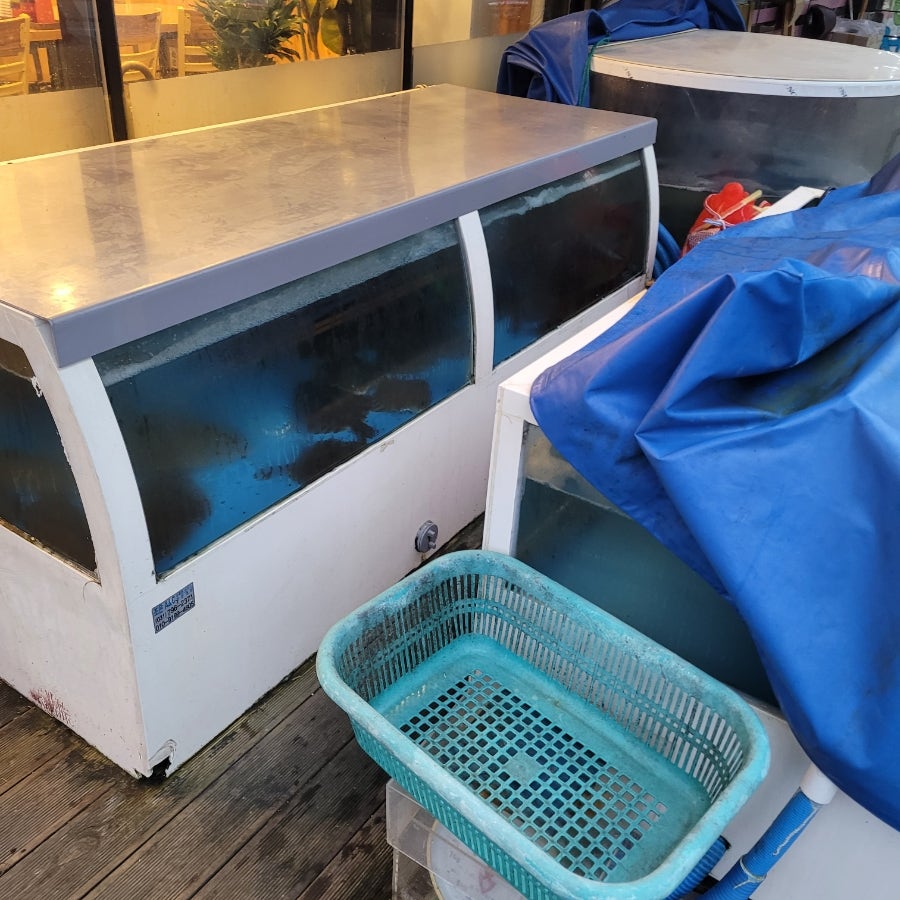 물반고기반 사진 3