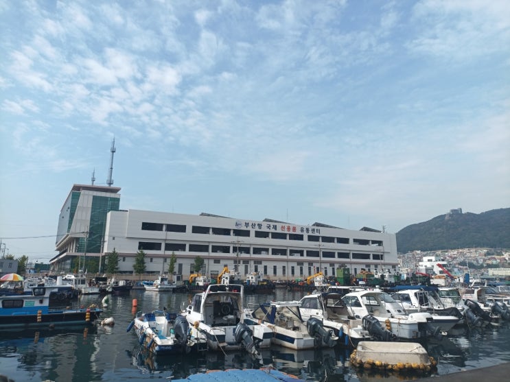  출장 후기: 부산 (2024. 9.)