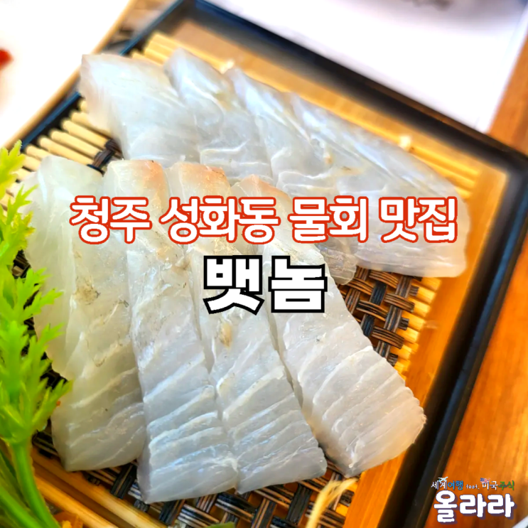  청주 성화동 맛집 뱃놈 점심특선 가족식사 추천