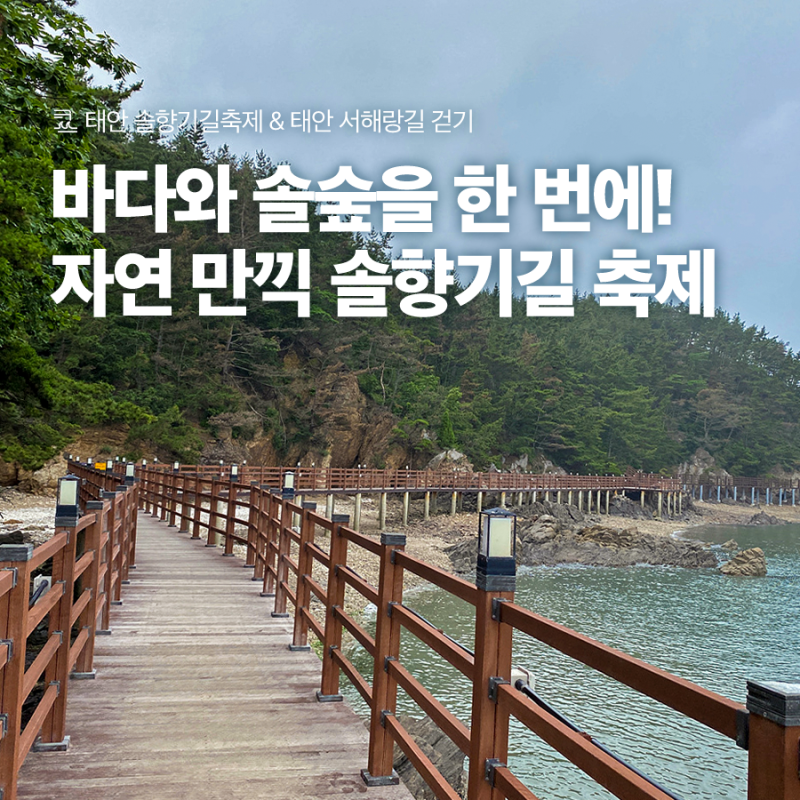 이미지 미리보기