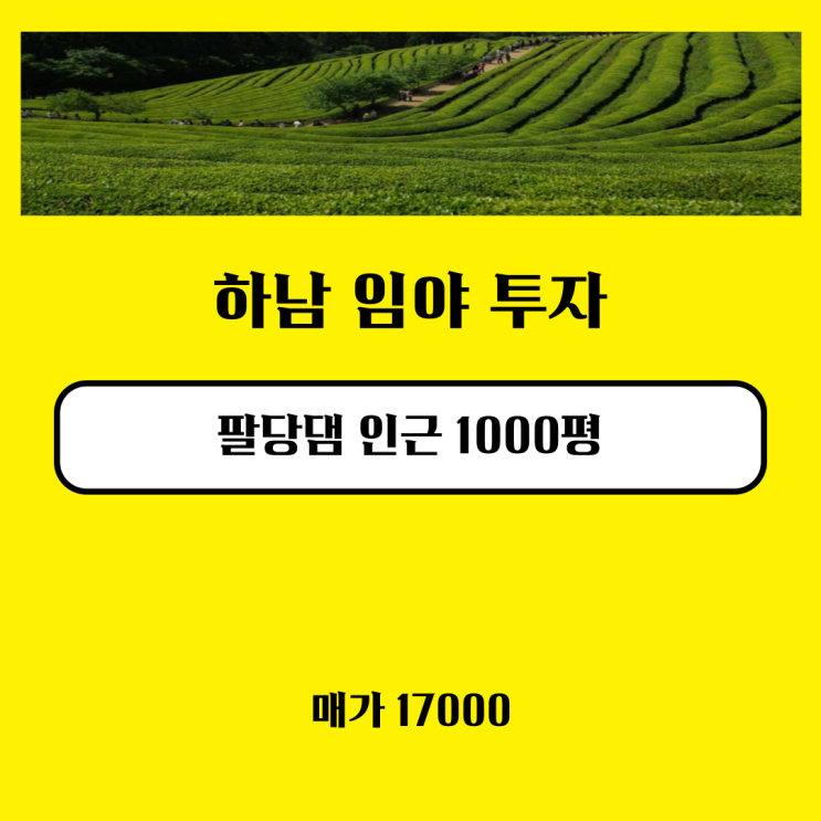 수도권 땅 투자, 하남 팔당댐 인근 임야 매매 수도권 땅 투자, 하남 팔당댐 인근 임야 매매