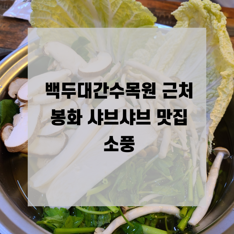 봉화 샤브샤브전문점 소풍 백두대간수목원 근처 맛집 신선한 야채 즐기기