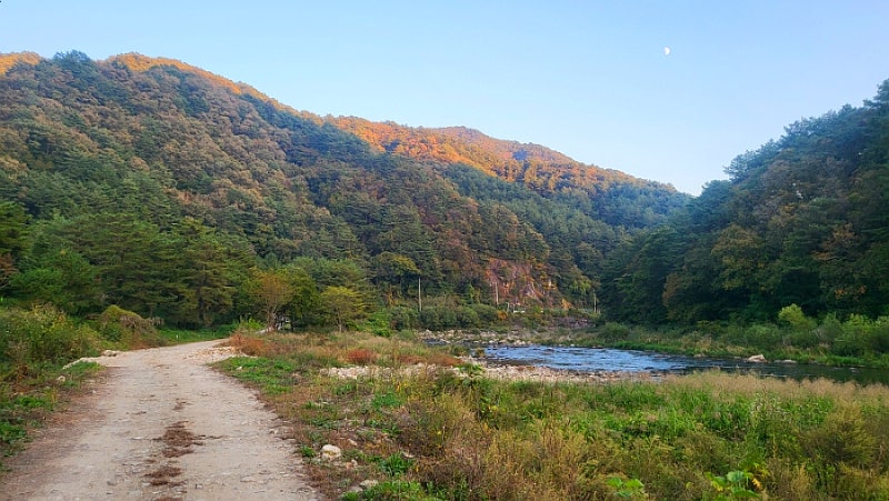사진 11