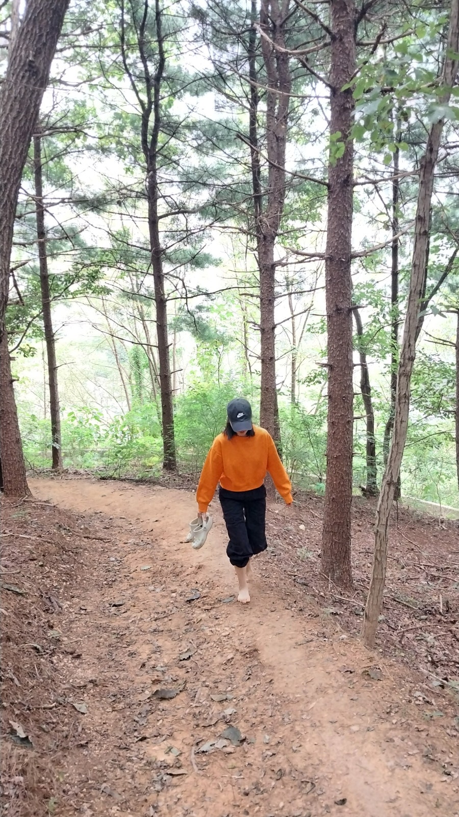 바람머리산 사진 5