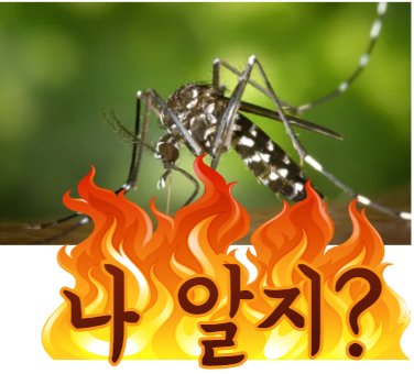  화분과 모기, 전등 전기선 따기