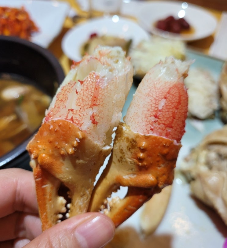  [부천상동]크레버대게나라에서 즐긴 내돈내산 대게 먹방