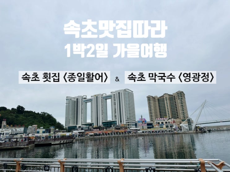  가을맞이 속초 여행 2일차 속초 맛집 추천 대포항 <종일활어> & 양양 <영광정>