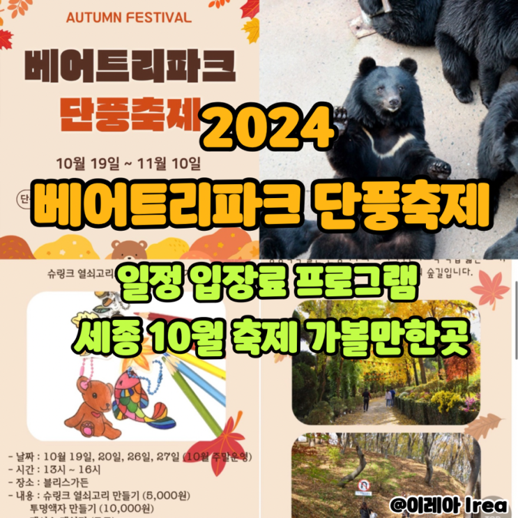  베어트리파크 단풍축제 기본정보 입장료 | 세종 10월 축제 | 세종 아이와 가볼만한곳