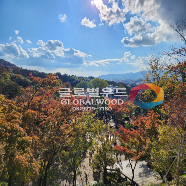  [글로벌우드]_올해 단풍은 언제쯤?