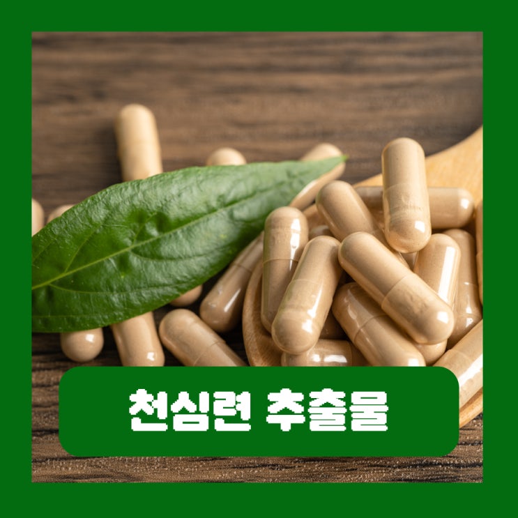  천심련 추출물 파랙틴 효능 관절건강 영양제 미각이상 부작용