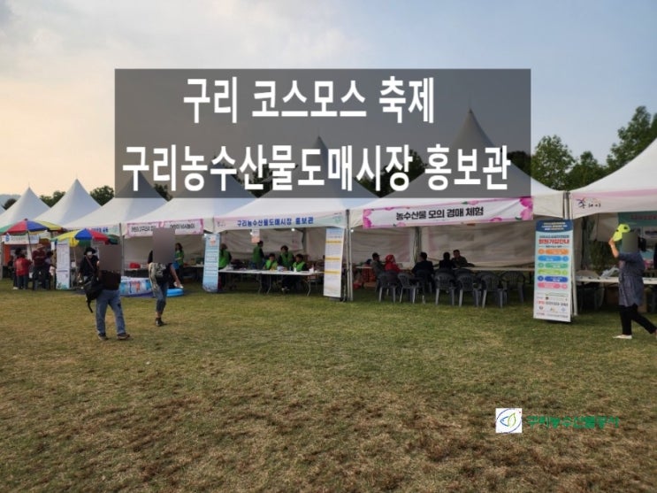  구리 코스모스 축제 농수산물도매시장 홍보관 아이와 체험이벤트