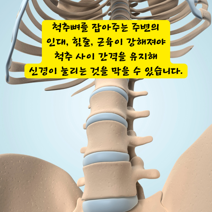  수영구신경외과, 척추관협착증 수술의 공포에서 벗어나 일상을 되찾는 방법