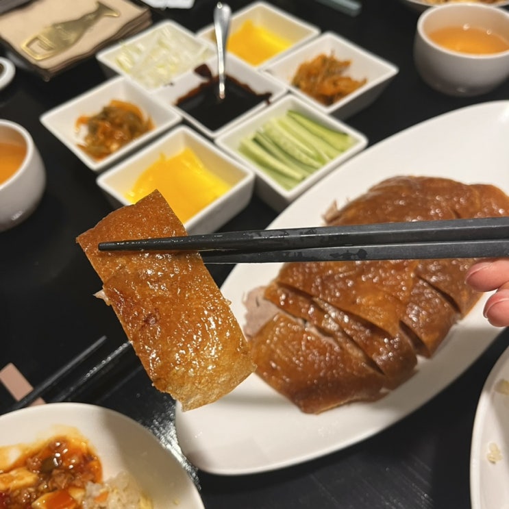  압구정 중식당 루위 보양식 북경오리 뚝배기 마파두부