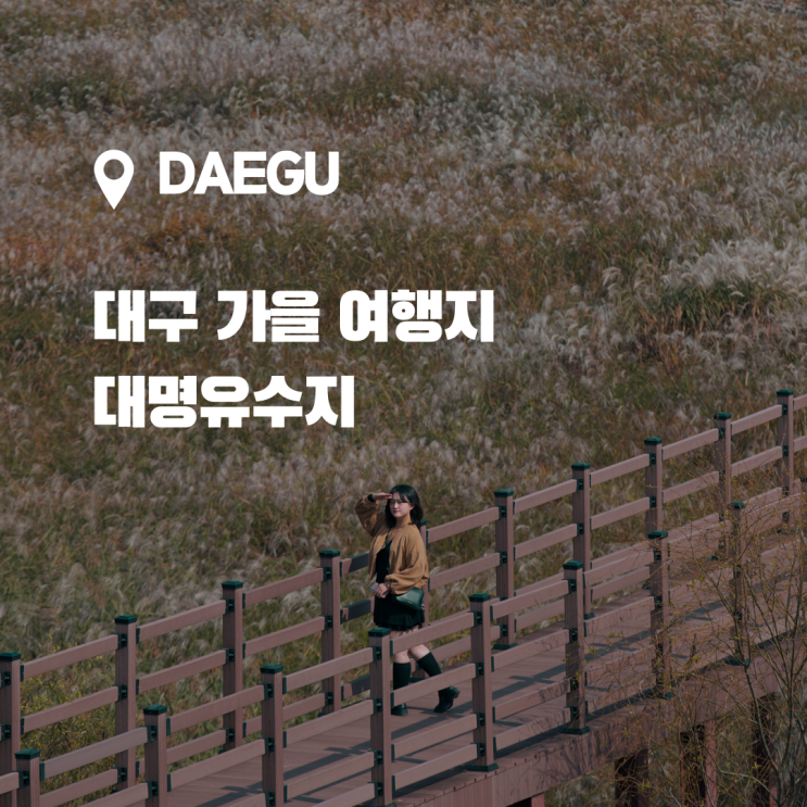  가을 대구 여행지, 대구에서 억새를 볼수 있는 달성습지 대명유수지