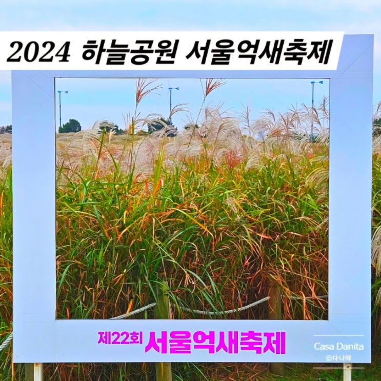  2024 서울억새축제 시간 일정 하늘공원 주차 유아숲체험원