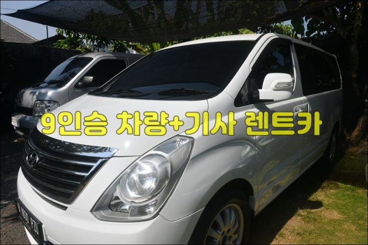 발리 차량+기사 렌트 9인승 미니 우붓추천코스