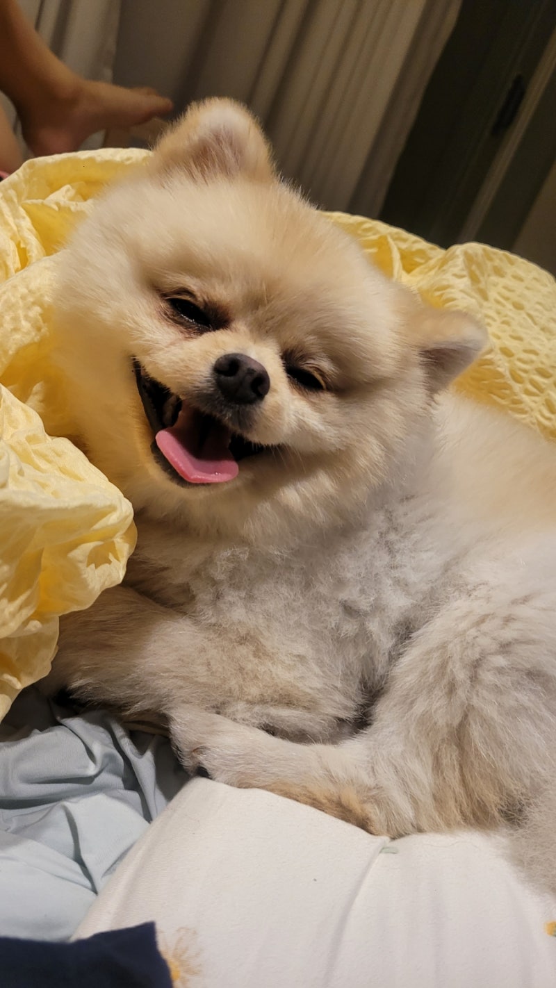 정기검진_동군산병원