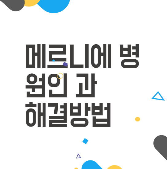 메르니에, 증상과 관리방법 총정리 메르니에, 증상과 관리방법 총정리