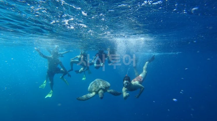 롬복 출발 길리 프라이빗 스노클링 투어