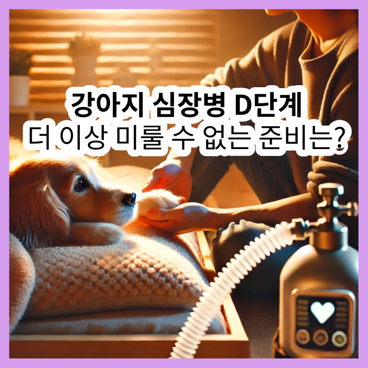  강아지 심장병 D단계, 더 이상 미룰 수 없는 준비는?
