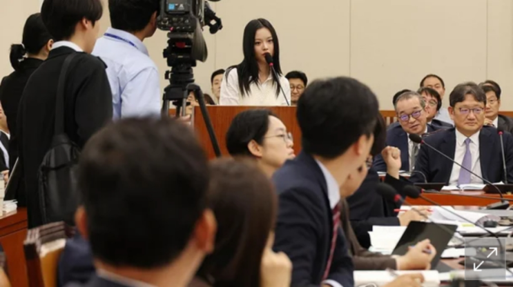  하이브 직원 과로사 은폐 의혹 국정감사 어도어
