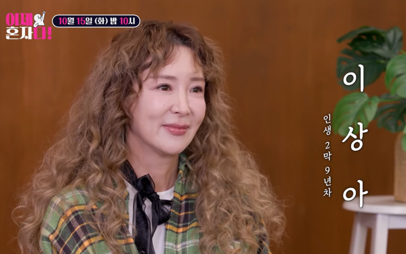 이상아 전배우자 김한석 저격 유책 배우자는 너야! 세번 이혼사유 프로필 리즈시절
