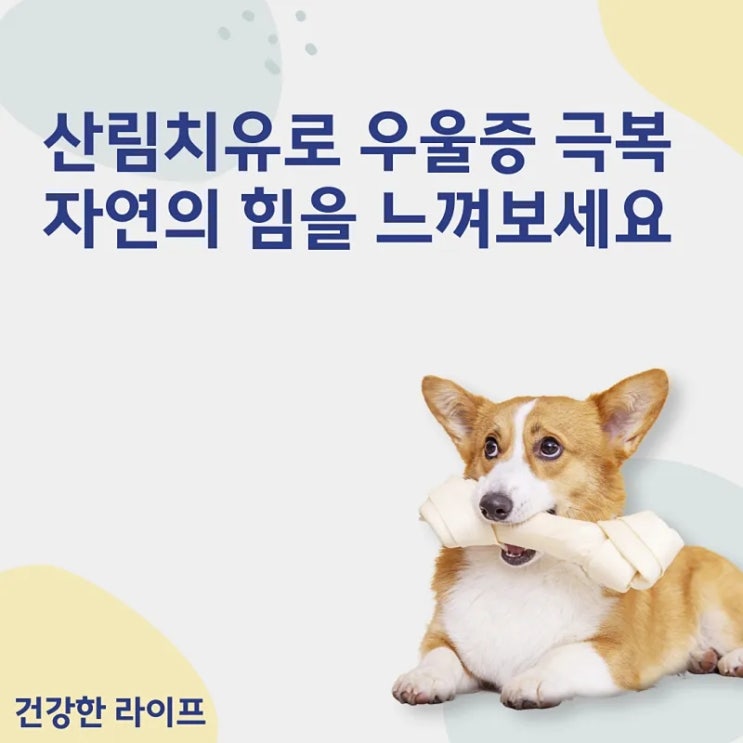  산림치유로 우울증 극복, 자연의 힘을 느껴보세요