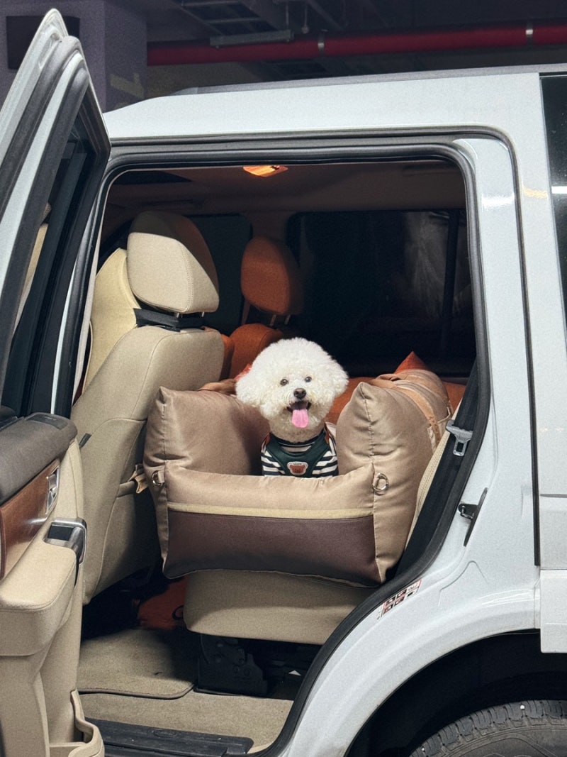 안정감 있는 중형견 강아지 카시트 몽슈슈 몽카시트11