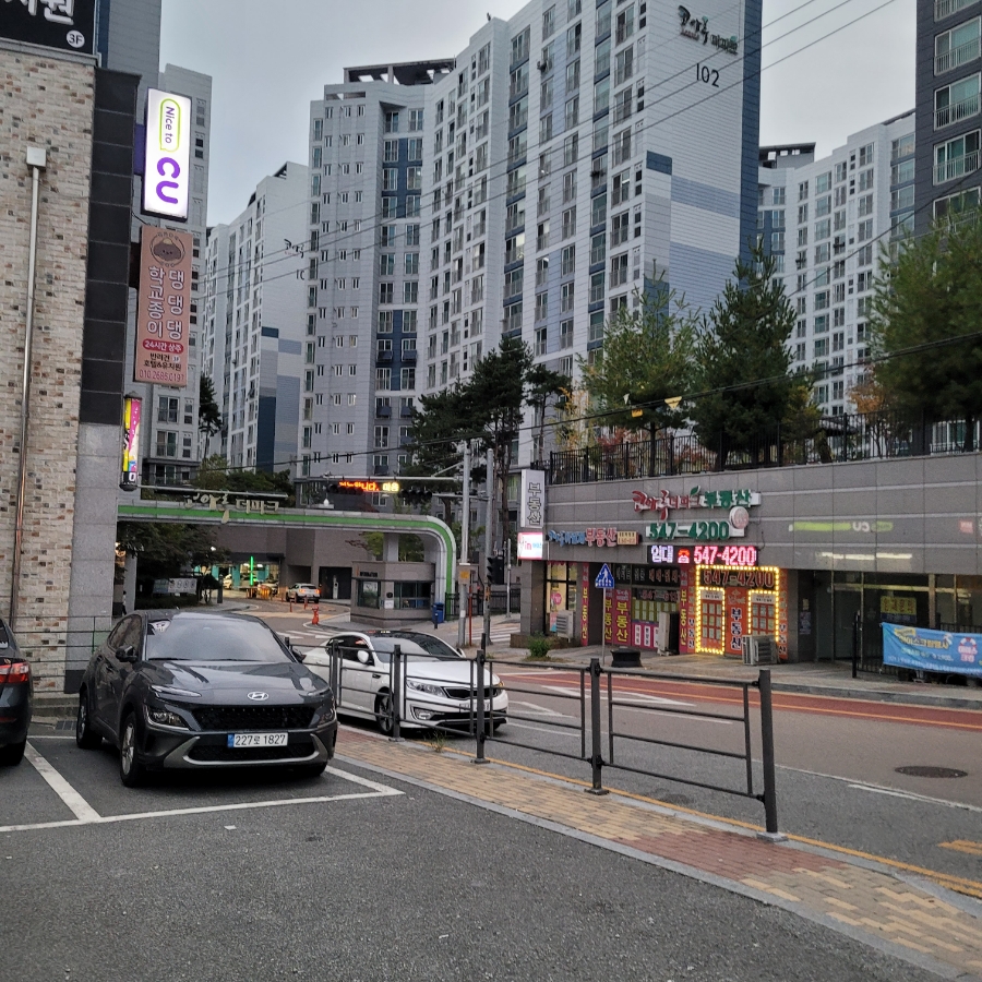 물반고기반 사진 2