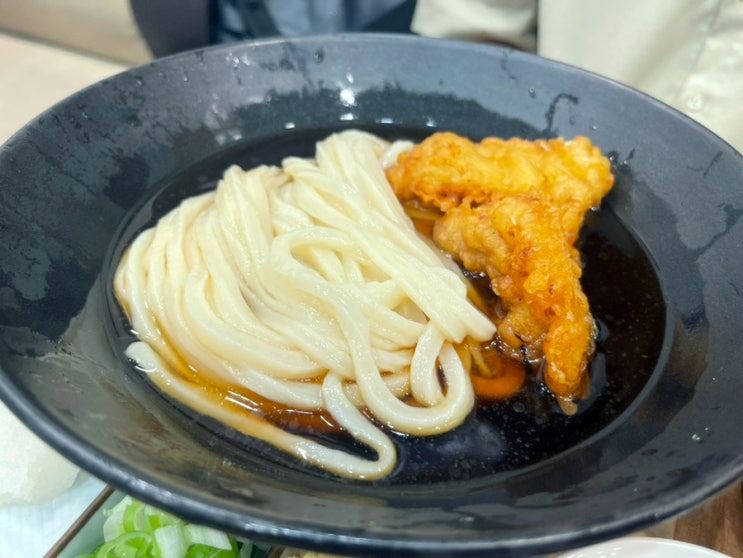  [대전 3대 맛집] 우동이 맛있는 '토미야'