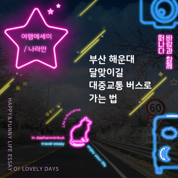  부산 해운대 달맞이길 대중교통 버스로 가는 법
