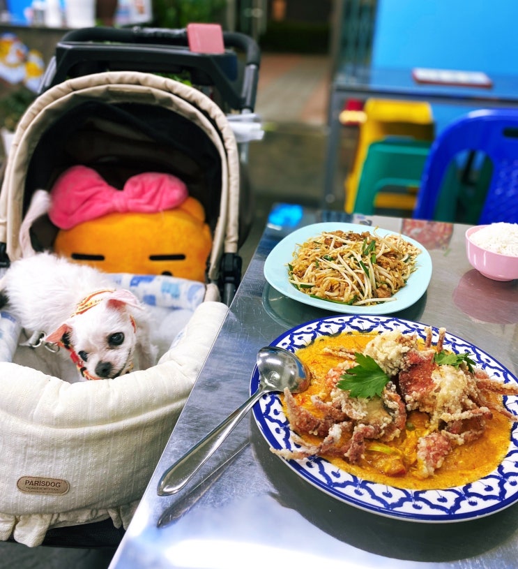 송도 애견동반식당 센트럴파크 맛집 <람람>