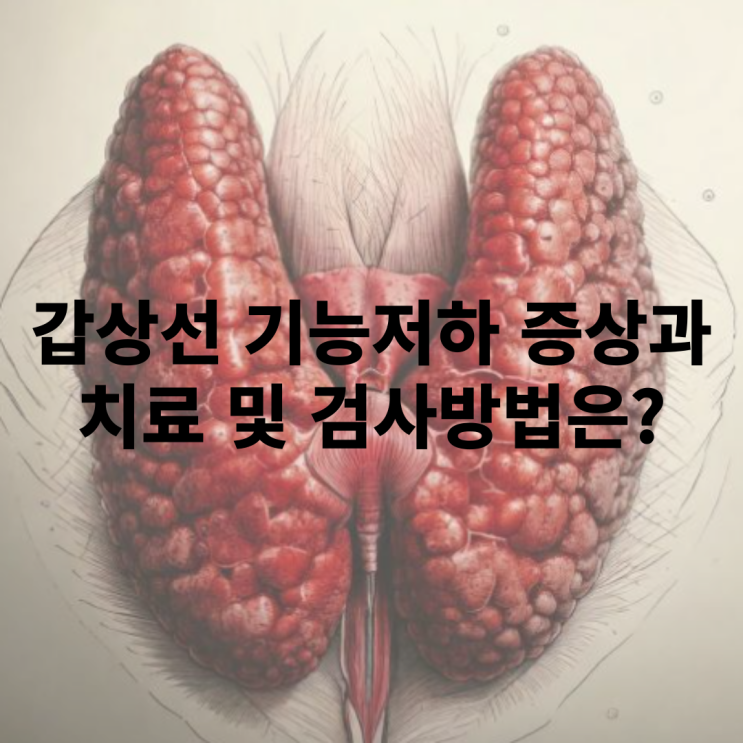  갑상선 기능저하증 초기 증상과 검사방법은?