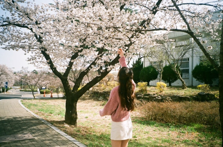  필름카메라에 담긴 •• 