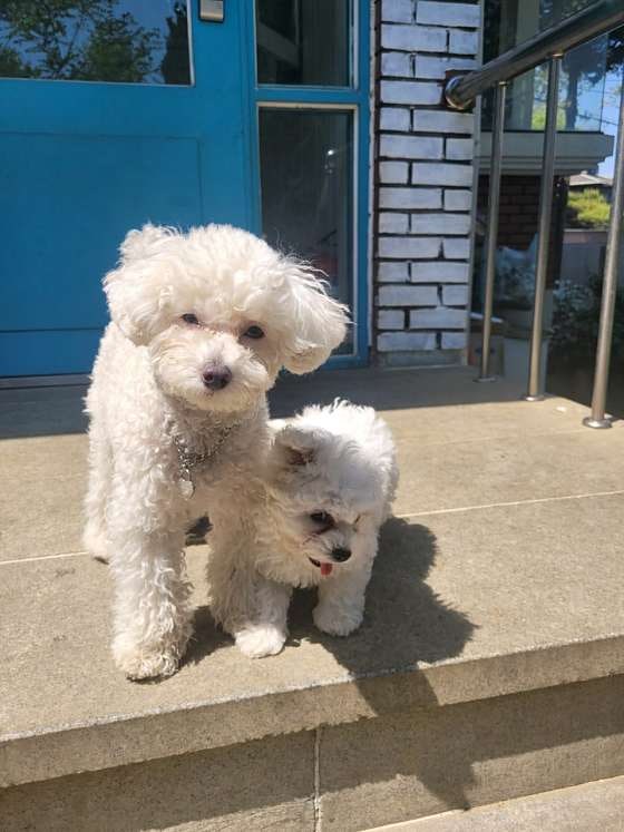 사진 2