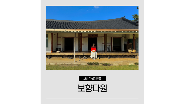  국내 가을 여행지 추천 보향다원 녹차밭 보성여행 가볼만한곳ㅣ보성애물들다