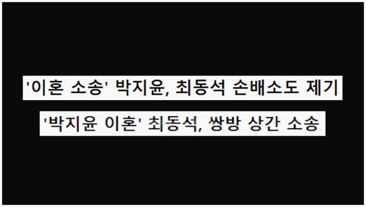  최동석 박지윤 이혼 상간 소송 근황 이제 혼자다 전노민 아나운서 부부 손해배상 위자료 외도 억울 심경 기사 TV조선